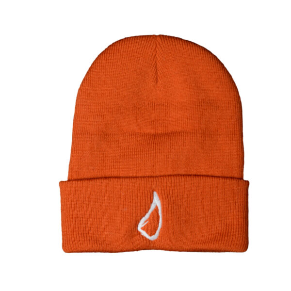 Rhino horn beanie